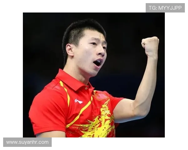 南京乒乓球队引领最新乒乓球节奏TOP10榜单全景解析